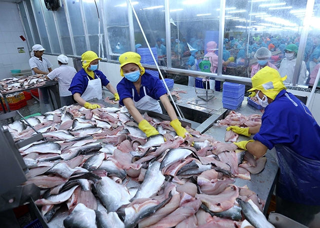 Tin vui đối với ngành sản xuất, xuất khẩu thủy sản của Việt Nam