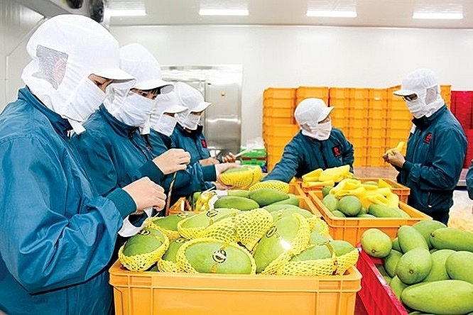 Cơ hội cho doanh nghiệp Việt Nam từ thị trường nông sản Anh
