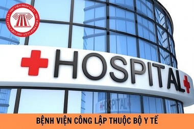Một số giải pháp đổi mới quản lý nhà nước đối với bệnh viện công lập trực thuộc Bộ Y tế trong bối cảnh mới