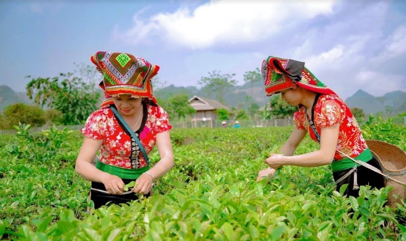 Đề xuất mô hình phầm mềm nhằm chuyển đổi số trong quản trị hợp tác xã nông nghiệp tại tỉnh Sơn La
