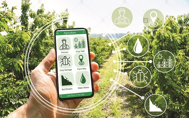 Các yếu tố ảnh hưởng đến hành vi chuyển đổi số trong hợp tác xã tại tỉnh Quảng Ngãi(*)