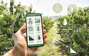 Các yếu tố ảnh hưởng đến hành vi chuyển đổi số trong hợp tác xã tại tỉnh Quảng Ngãi(*)