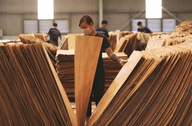 Hoa Kỳ gia hạn lần thứ 4 thời gian kết luận điều tra lẩn tránh thuế chống bán phá giá đối với gỗ dán từ Việt Nam