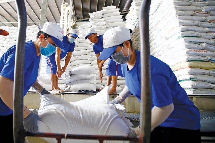 Bộ Công Thương đang lấy ý kiến góp ý sửa đổi Nghị định về kinh doanh xuất khẩu gạo
