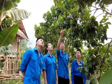 43 thanh niên nông thôn làm kinh tế giỏi được lựa chọn nhận Giải thưởng Lương Định Của 2023