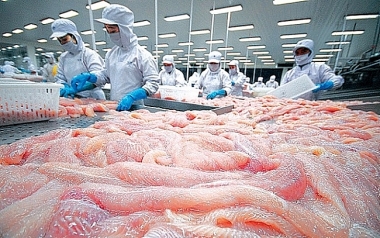 Xuất khẩu cá tra năm 2022 dự kiến đạt trên 2,4 tỷ USD